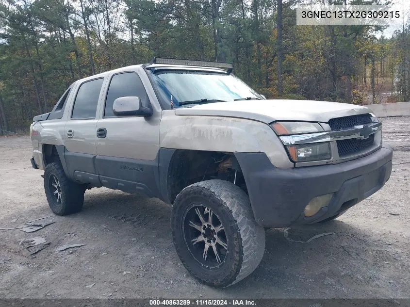 2002 Chevrolet Avalanche 1500 VIN: 3GNEC13TX2G309215 Lot: 40863289