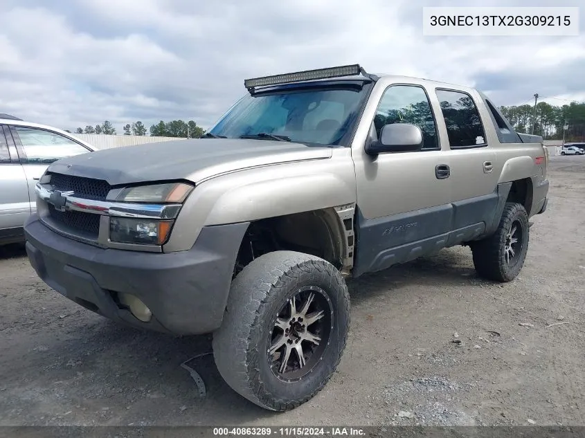 2002 Chevrolet Avalanche 1500 VIN: 3GNEC13TX2G309215 Lot: 40863289