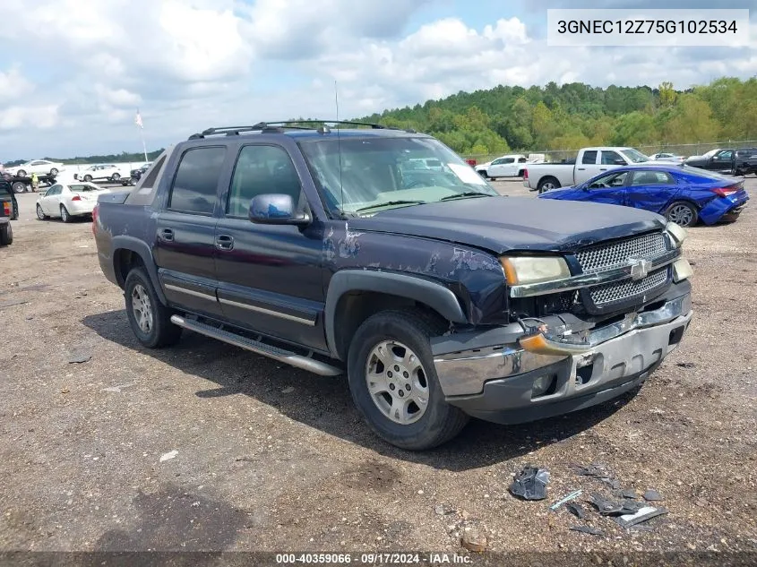 2005 Chevrolet Avalanche 1500 Z66 VIN: 3GNEC12Z75G102534 Lot: 40359066