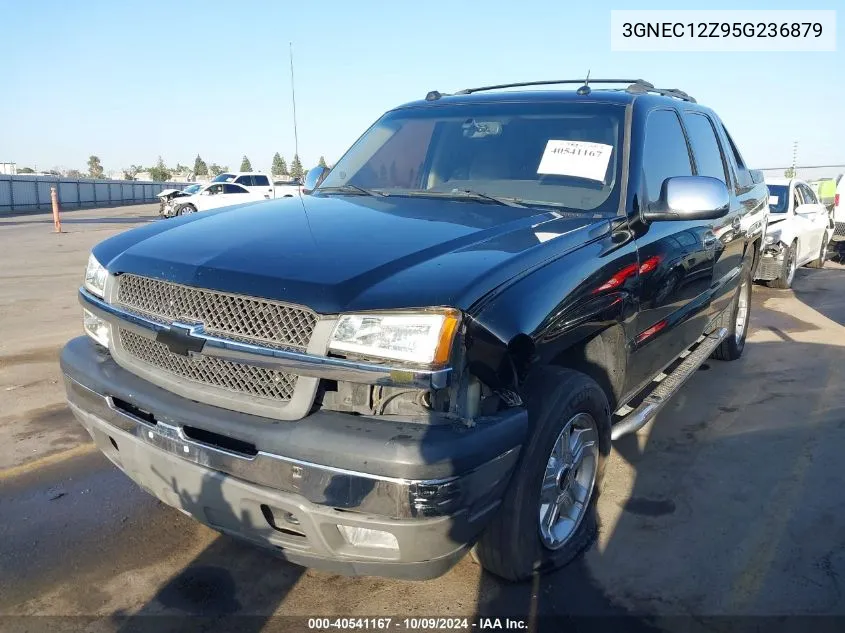 2005 Chevrolet Avalanche C1500 VIN: 3GNEC12Z95G236879 Lot: 40541167