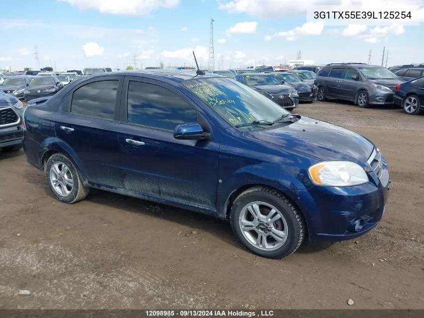 3G1TX55E39L125254 2009 Chevrolet Aveo