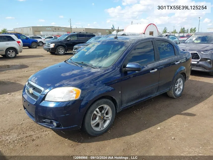 2009 Chevrolet Aveo VIN: 3G1TX55E39L125254 Lot: 12098985