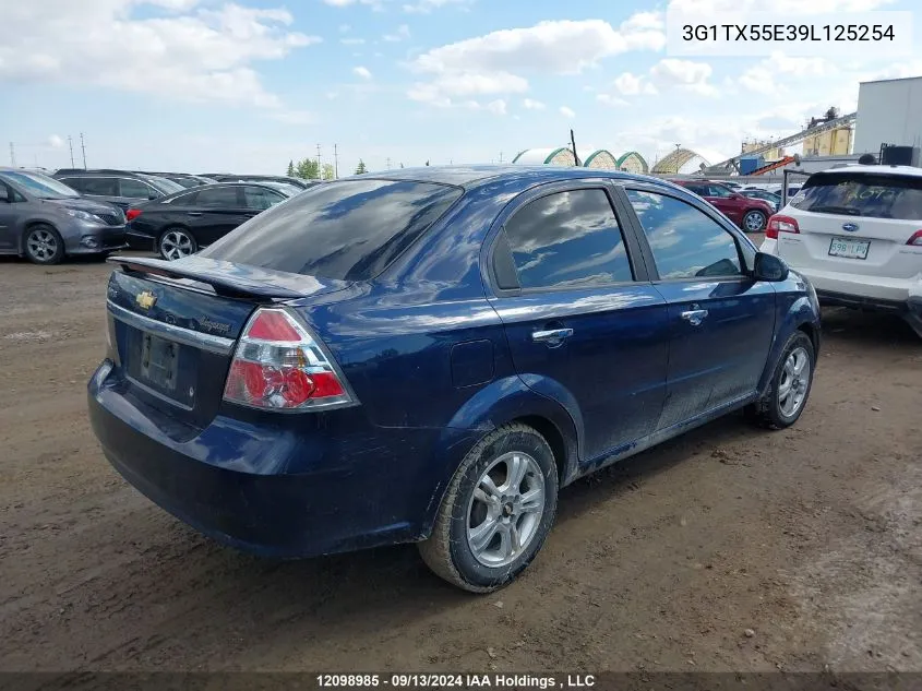 2009 Chevrolet Aveo VIN: 3G1TX55E39L125254 Lot: 12098985