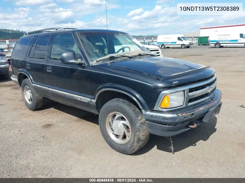 1996 Chevrolet Blazer VIN: 1GNDT13W5T2308389 Lot: 40616254