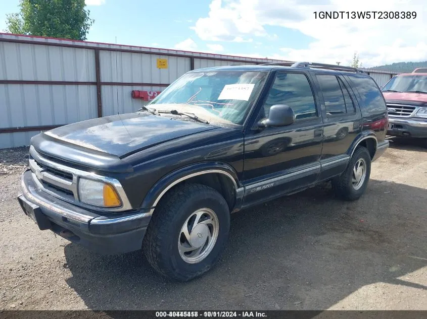 1996 Chevrolet Blazer VIN: 1GNDT13W5T2308389 Lot: 40616254