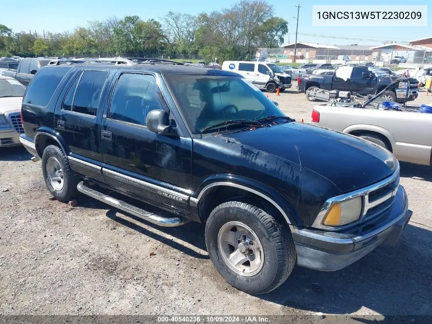 1996 Chevrolet Blazer VIN: 1GNCS13W5T2230209 Lot: 40540236