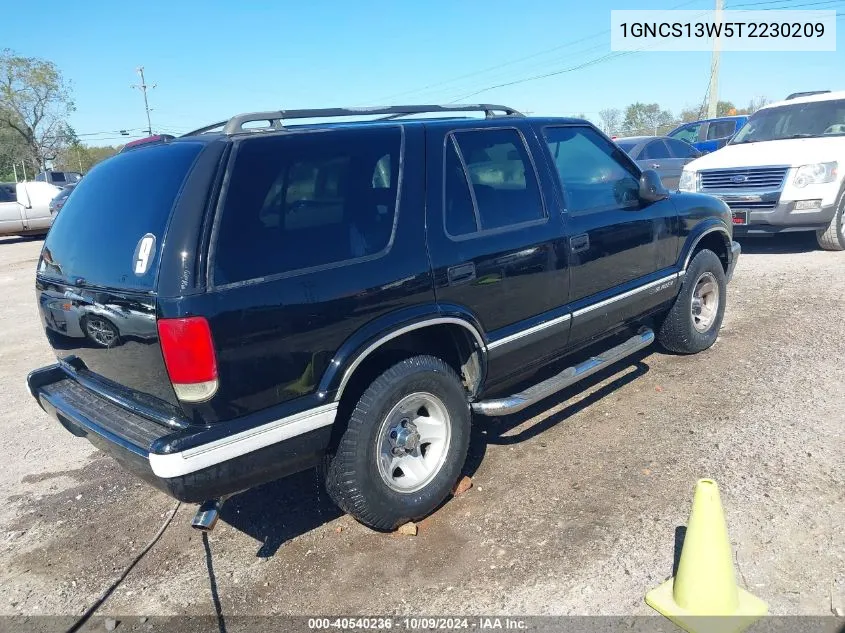 1996 Chevrolet Blazer VIN: 1GNCS13W5T2230209 Lot: 40540236