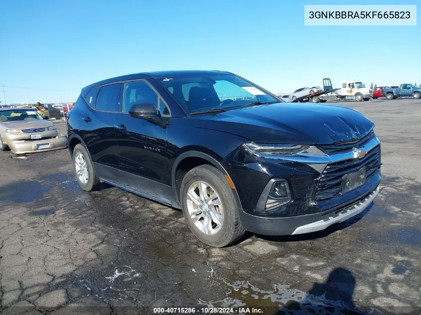 2019 Chevrolet Blazer VIN: 3GNKBBRA5KF665823 Lot: 40715286