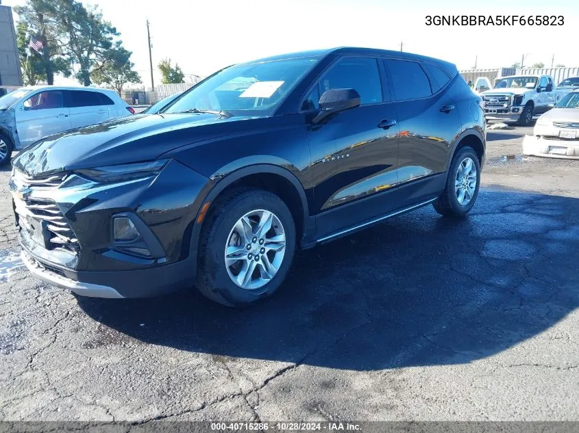 2019 Chevrolet Blazer VIN: 3GNKBBRA5KF665823 Lot: 40715286