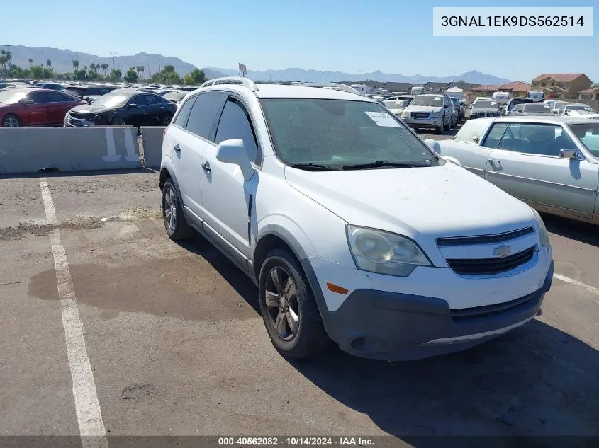 2013 Chevrolet Captiva Sport 1Ls VIN: 3GNAL1EK9DS562514 Lot: 40562082