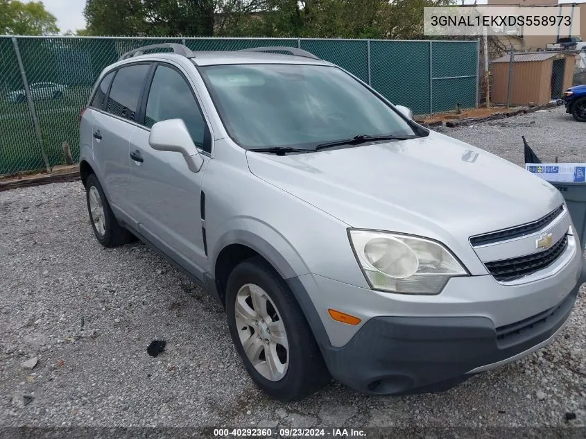 2013 Chevrolet Captiva Sport 1Ls VIN: 3GNAL1EKXDS558973 Lot: 40292360