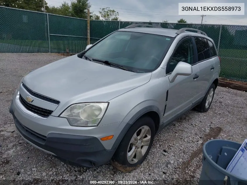 2013 Chevrolet Captiva Sport 1Ls VIN: 3GNAL1EKXDS558973 Lot: 40292360