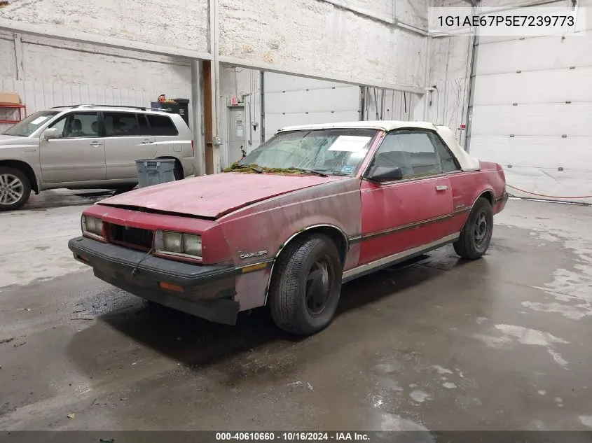 1984 Chevrolet Cavalier Type 10 VIN: 1G1AE67P5E7239773 Lot: 40610660