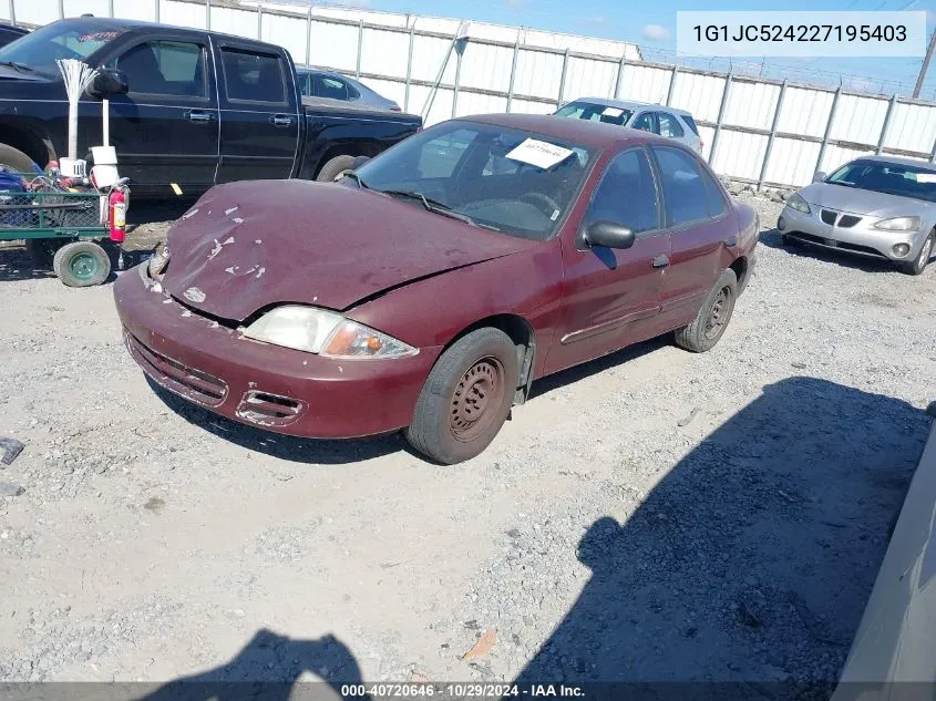 2002 Chevrolet Cavalier VIN: 1G1JC524227195403 Lot: 40720646