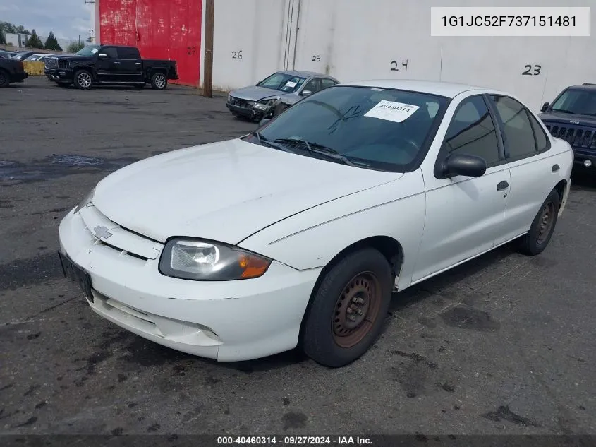 2003 Chevrolet Cavalier VIN: 1G1JC52F737151481 Lot: 40460314