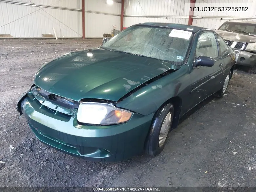 2003 Chevrolet Cavalier VIN: 1G1JC12F537255282 Lot: 40558324