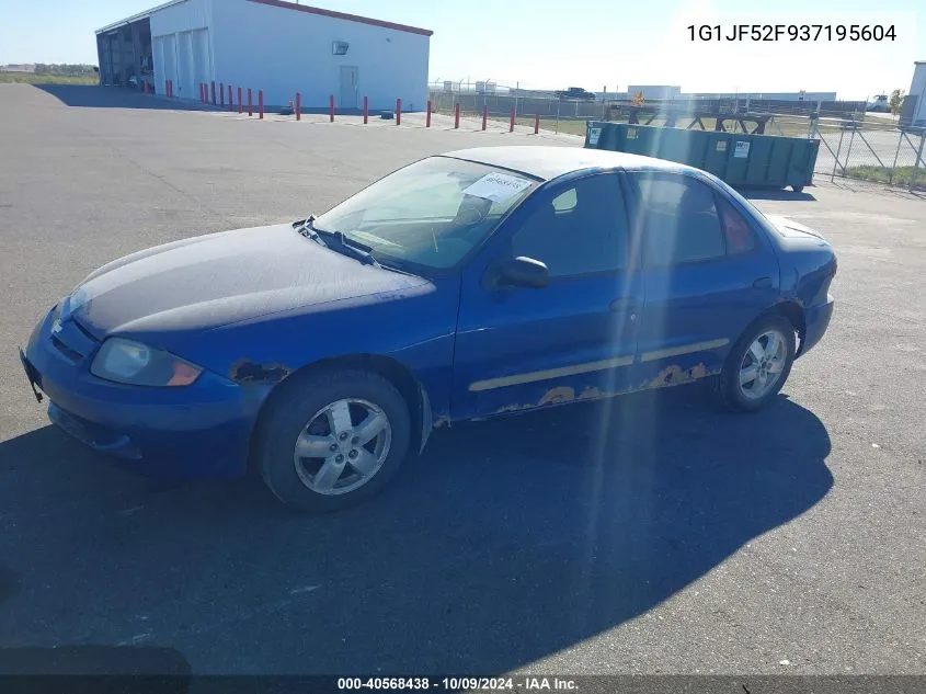 2003 Chevrolet Cavalier Ls VIN: 1G1JF52F937195604 Lot: 40568438