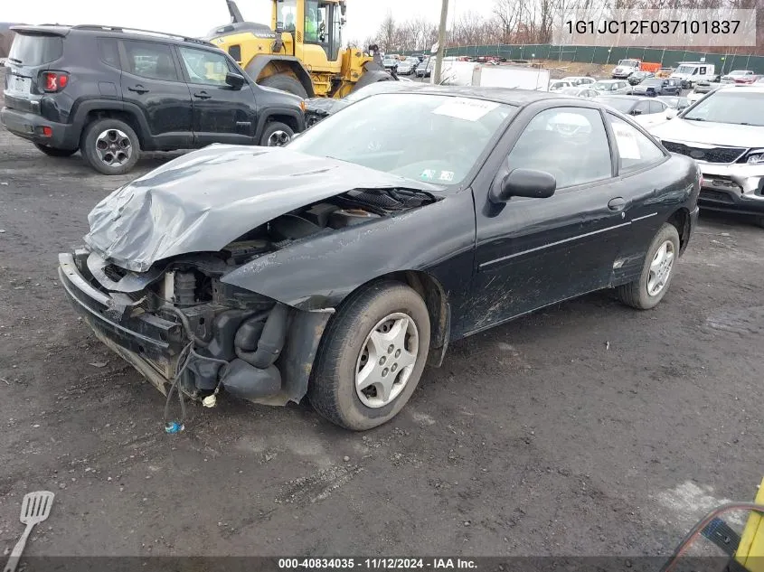 2003 Chevrolet Cavalier VIN: 1G1JC12F037101837 Lot: 40834035