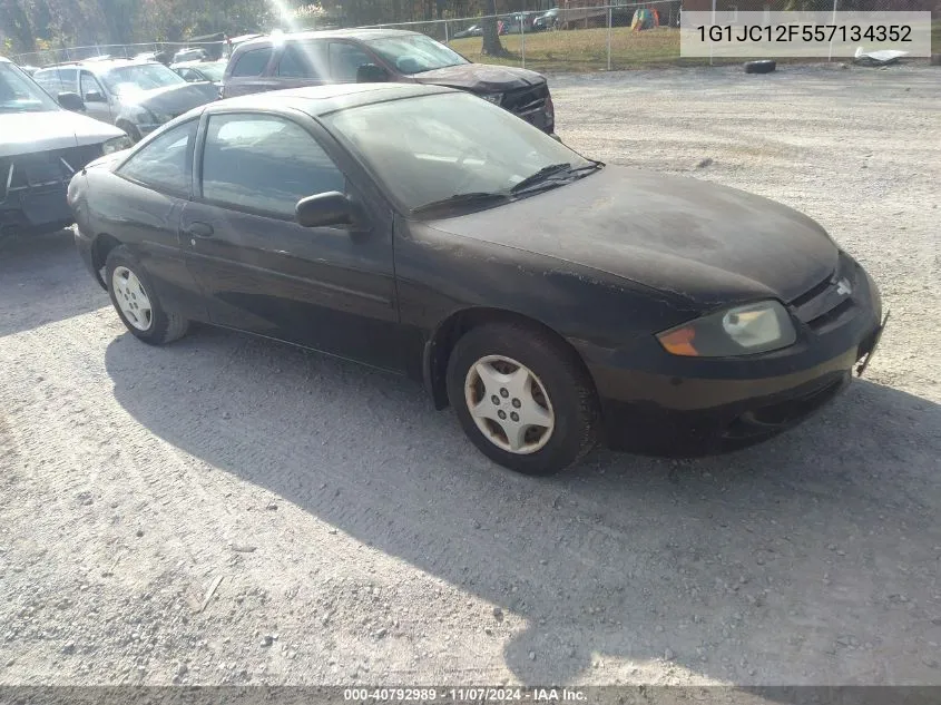 2005 Chevrolet Cavalier VIN: 1G1JC12F557134352 Lot: 40792989