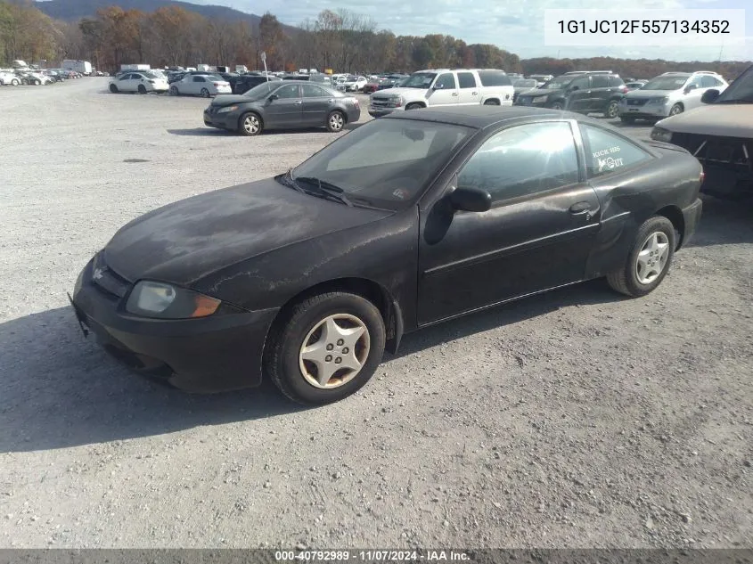 2005 Chevrolet Cavalier VIN: 1G1JC12F557134352 Lot: 40792989