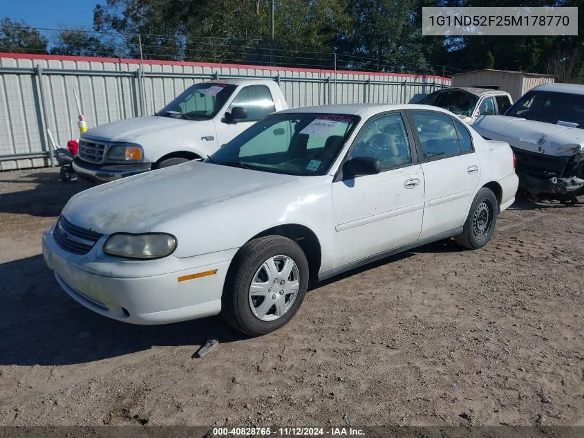 2005 Chevrolet Classic VIN: 1G1ND52F25M178770 Lot: 40828765