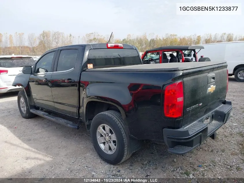 2019 Chevrolet Colorado VIN: 1GCGSBEN5K1233877 Lot: 12134843