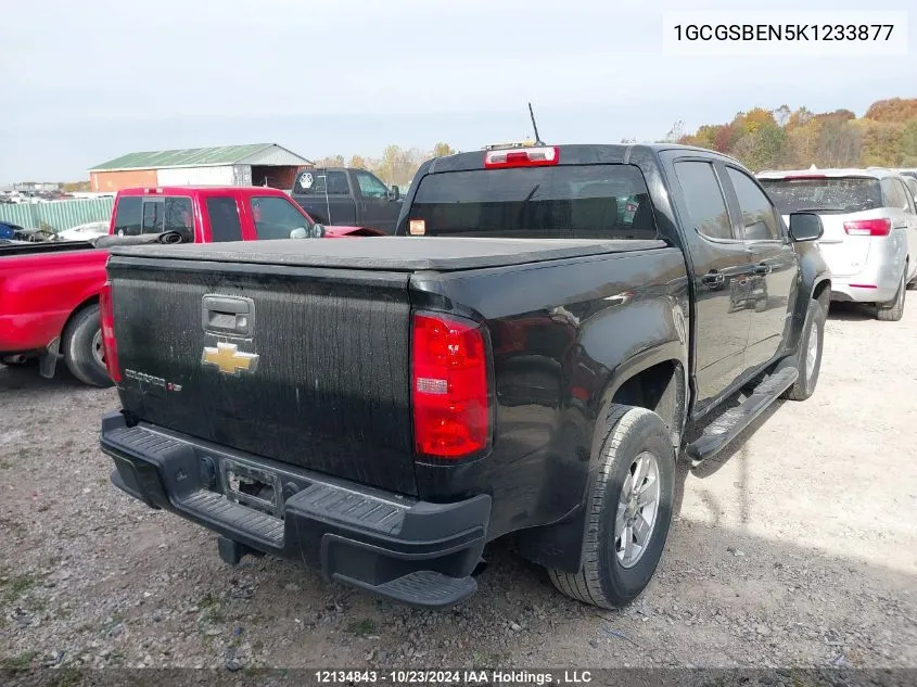 2019 Chevrolet Colorado VIN: 1GCGSBEN5K1233877 Lot: 12134843