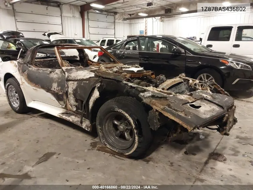 1980 Chevrolet Corvette VIN: 1Z87BAS436802 Lot: 40166860