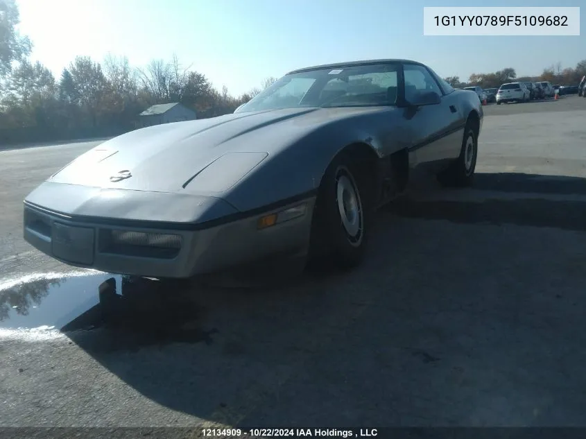 1985 Chevrolet Corvette VIN: 1G1YY0789F5109682 Lot: 12134909