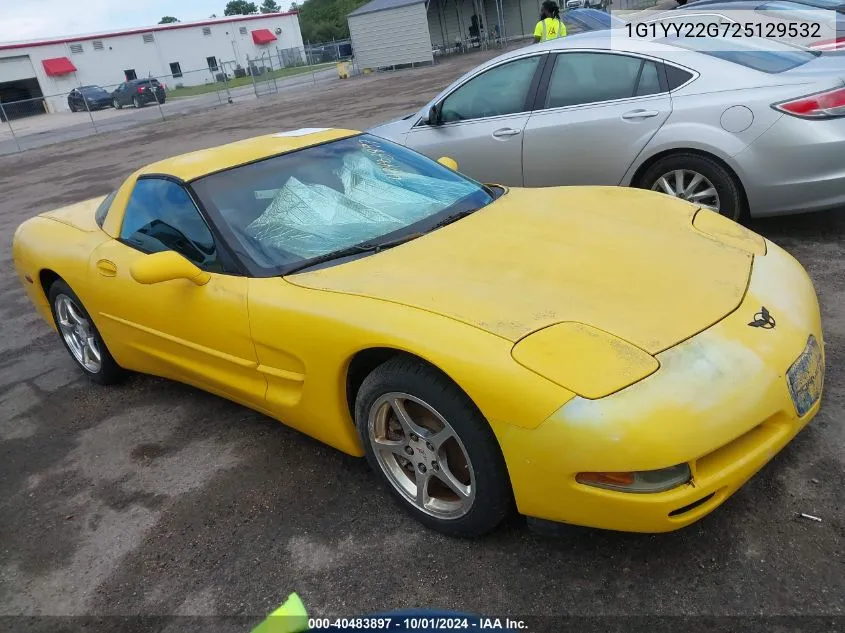 2002 Chevrolet Corvette VIN: 1G1YY22G725129532 Lot: 40483897