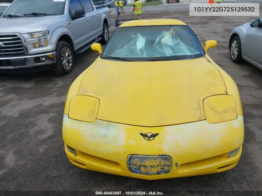 2002 Chevrolet Corvette VIN: 1G1YY22G725129532 Lot: 40483897