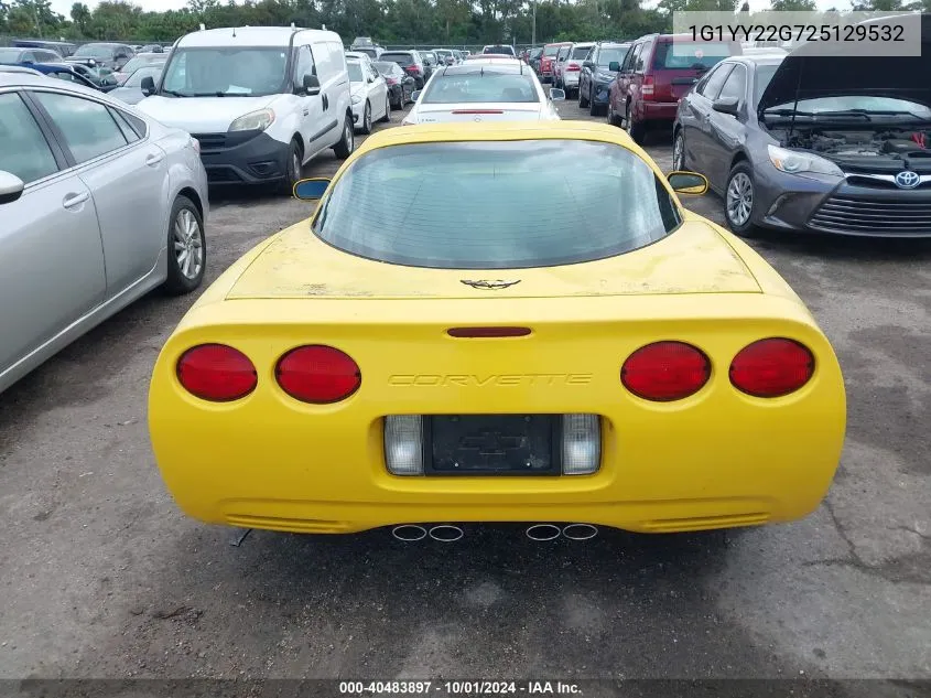 2002 Chevrolet Corvette VIN: 1G1YY22G725129532 Lot: 40483897