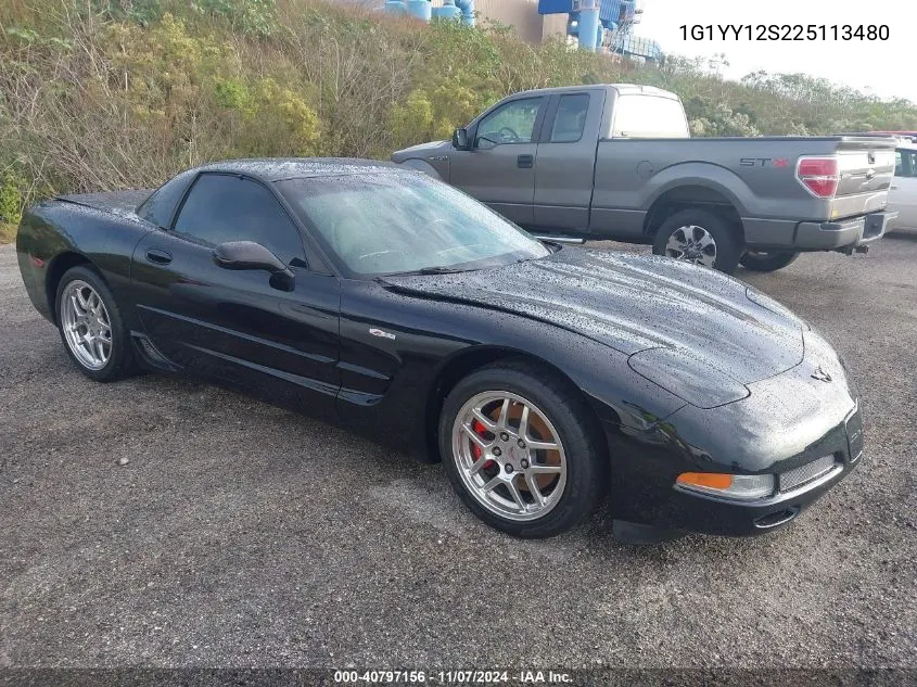 2002 Chevrolet Corvette Z06 Hardtop VIN: 1G1YY12S225113480 Lot: 40797156