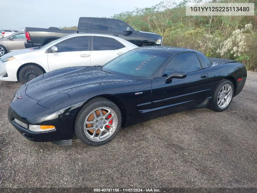 2002 Chevrolet Corvette Z06 Hardtop VIN: 1G1YY12S225113480 Lot: 40797156