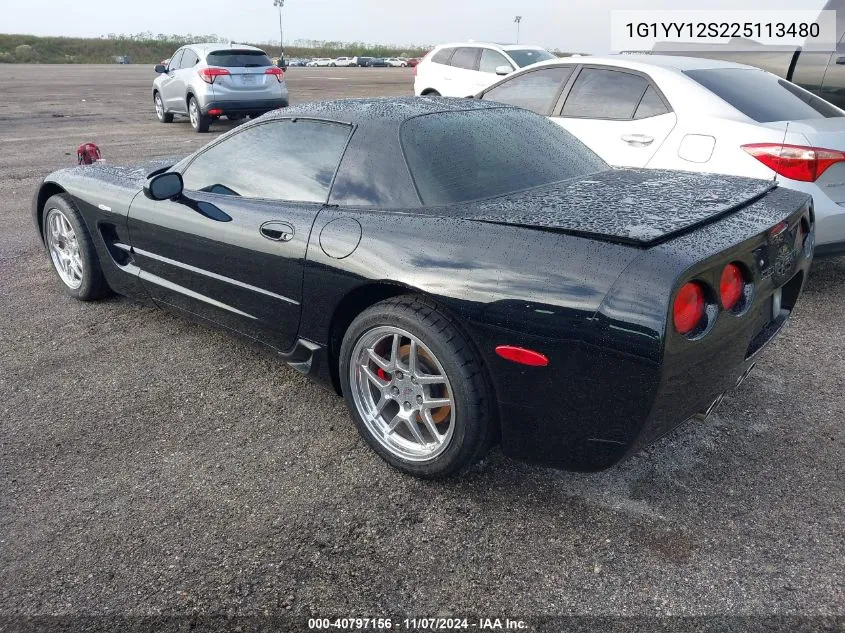 2002 Chevrolet Corvette Z06 Hardtop VIN: 1G1YY12S225113480 Lot: 40797156