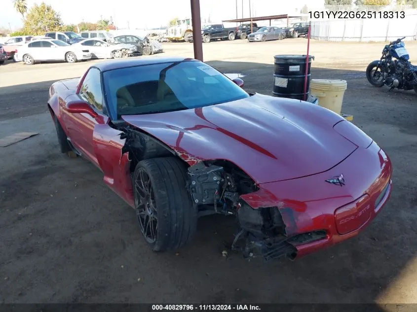 2002 Chevrolet Corvette VIN: 1G1YY22G625118313 Lot: 40829796