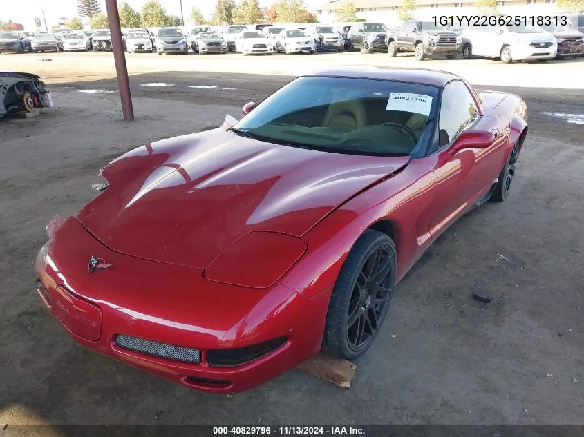 2002 Chevrolet Corvette VIN: 1G1YY22G625118313 Lot: 40829796