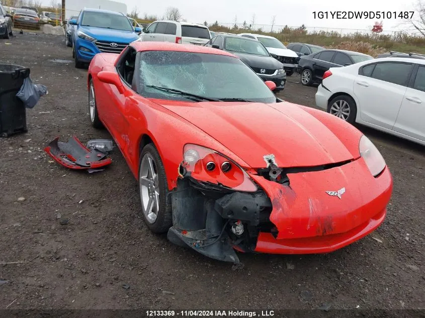 2013 Chevrolet Corvette VIN: 1G1YE2DW9D5101487 Lot: 12133369