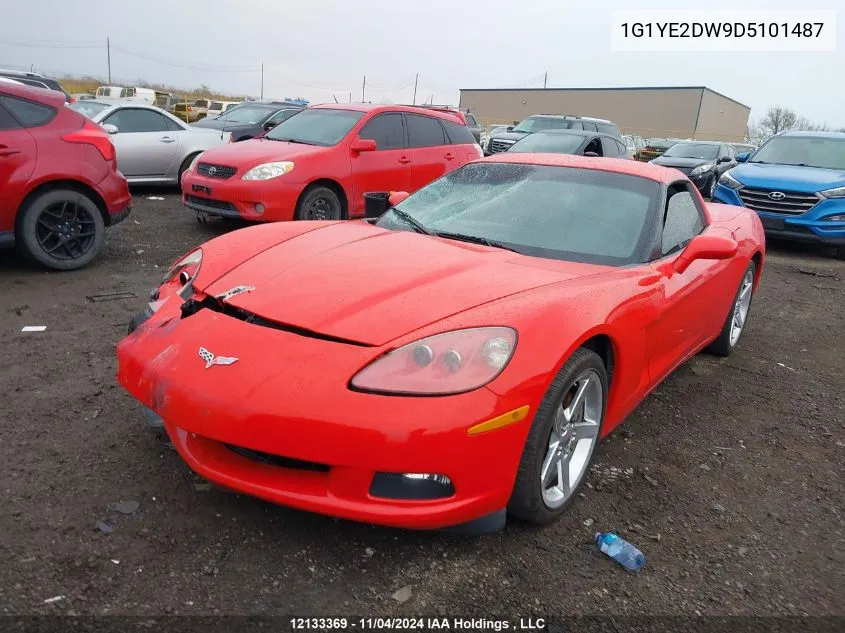 2013 Chevrolet Corvette VIN: 1G1YE2DW9D5101487 Lot: 12133369