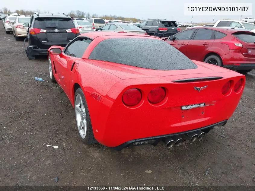 2013 Chevrolet Corvette VIN: 1G1YE2DW9D5101487 Lot: 12133369