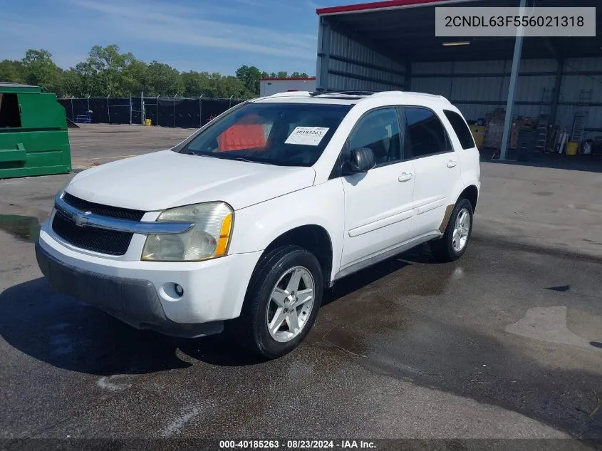 2CNDL63F556021318 2005 Chevrolet Equinox Lt