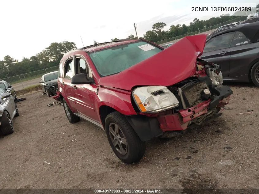 2006 Chevrolet Equinox Ls VIN: 2CNDL13F066024289 Lot: 40173983