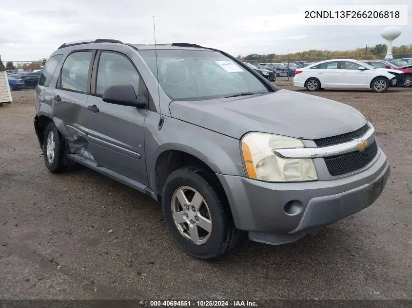 2006 Chevrolet Equinox Ls VIN: 2CNDL13F266206818 Lot: 40694551