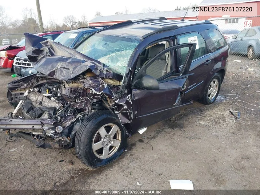 2007 Chevrolet Equinox Ls VIN: 2CNDL23F876107220 Lot: 40790889