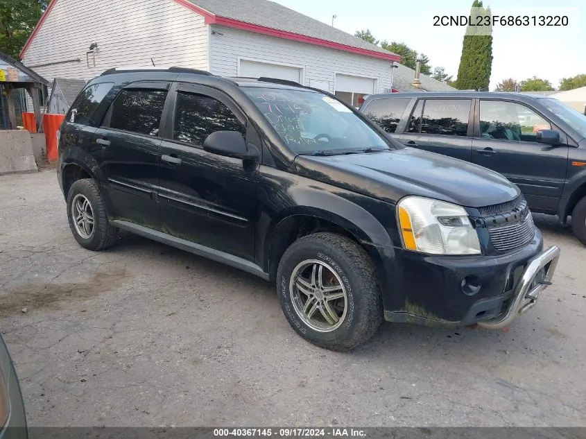 2008 Chevrolet Equinox Ls VIN: 2CNDL23F686313220 Lot: 40367145