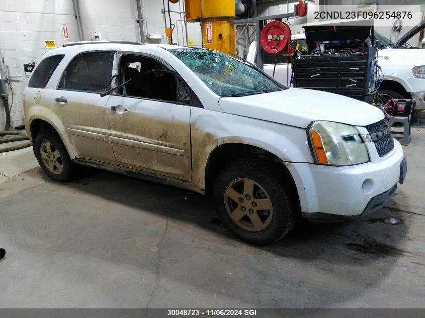 2009 Chevrolet Equinox Ls VIN: 2CNDL23F096254876 Lot: 30048723