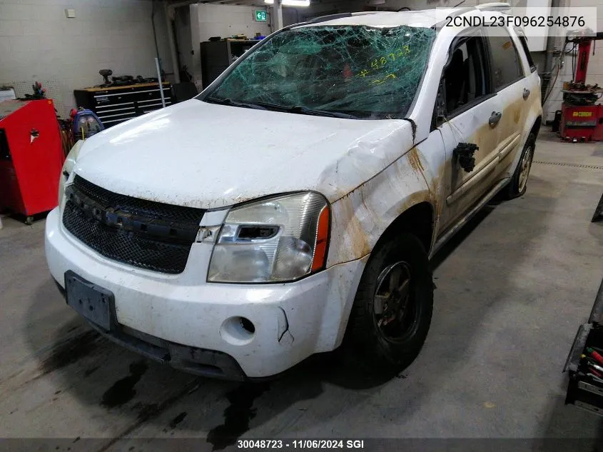 2009 Chevrolet Equinox Ls VIN: 2CNDL23F096254876 Lot: 30048723