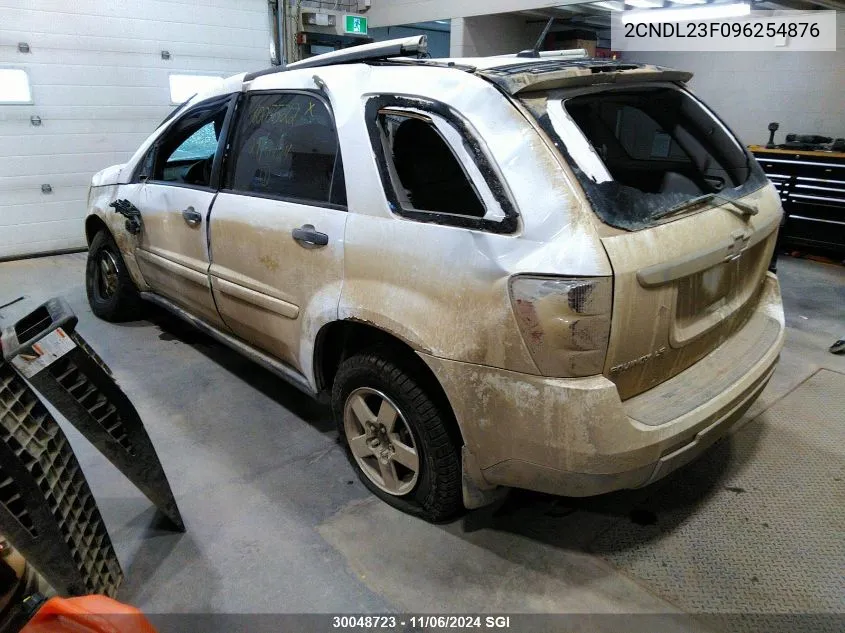 2009 Chevrolet Equinox Ls VIN: 2CNDL23F096254876 Lot: 30048723