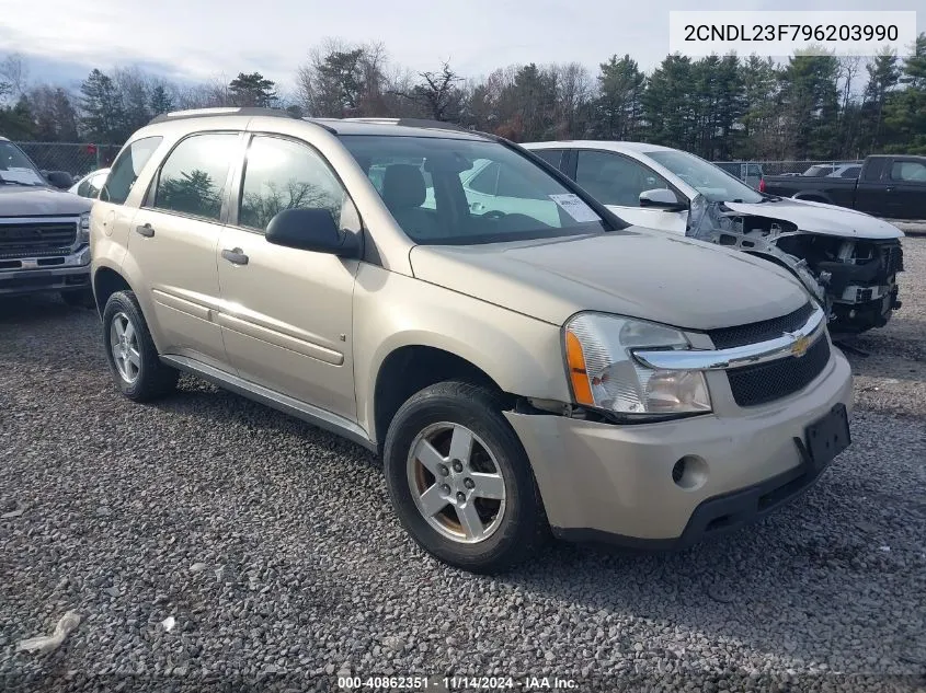 2009 Chevrolet Equinox Ls VIN: 2CNDL23F796203990 Lot: 40862351