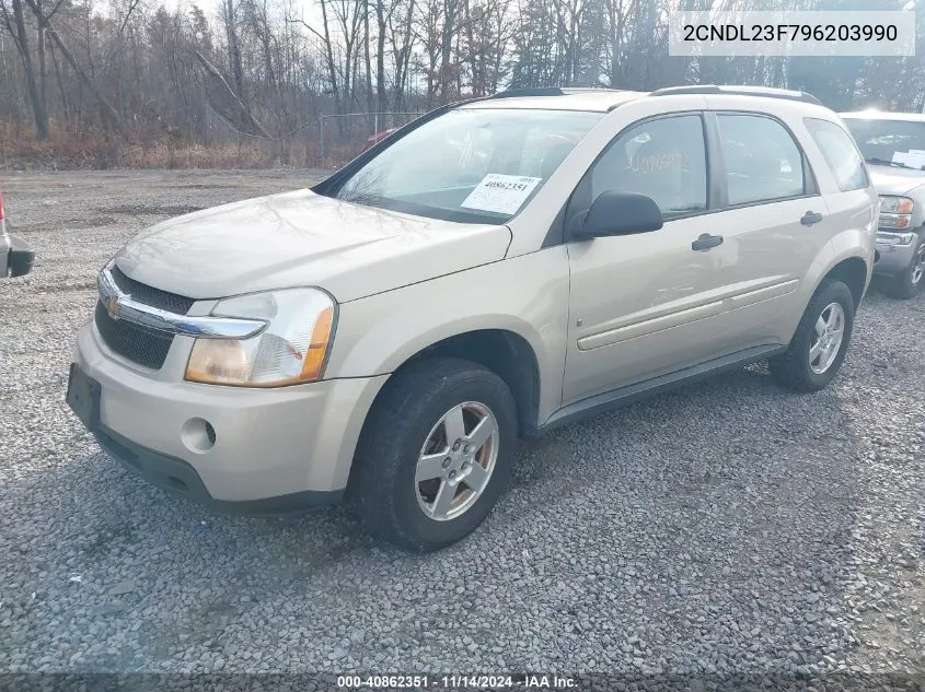 2009 Chevrolet Equinox Ls VIN: 2CNDL23F796203990 Lot: 40862351